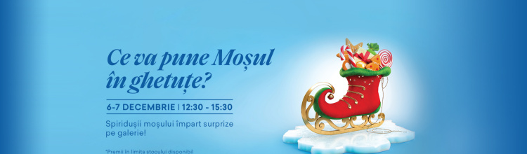 Ce va pune Moșul în ghetuțe?