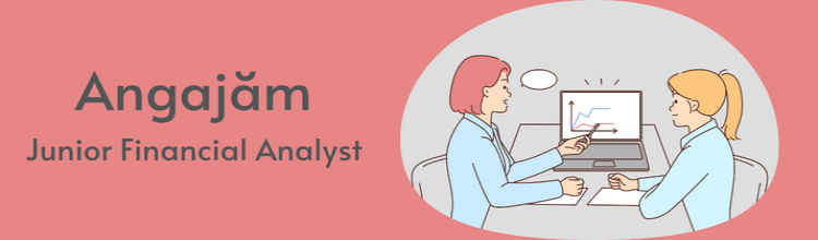 Junior Financial Analyst